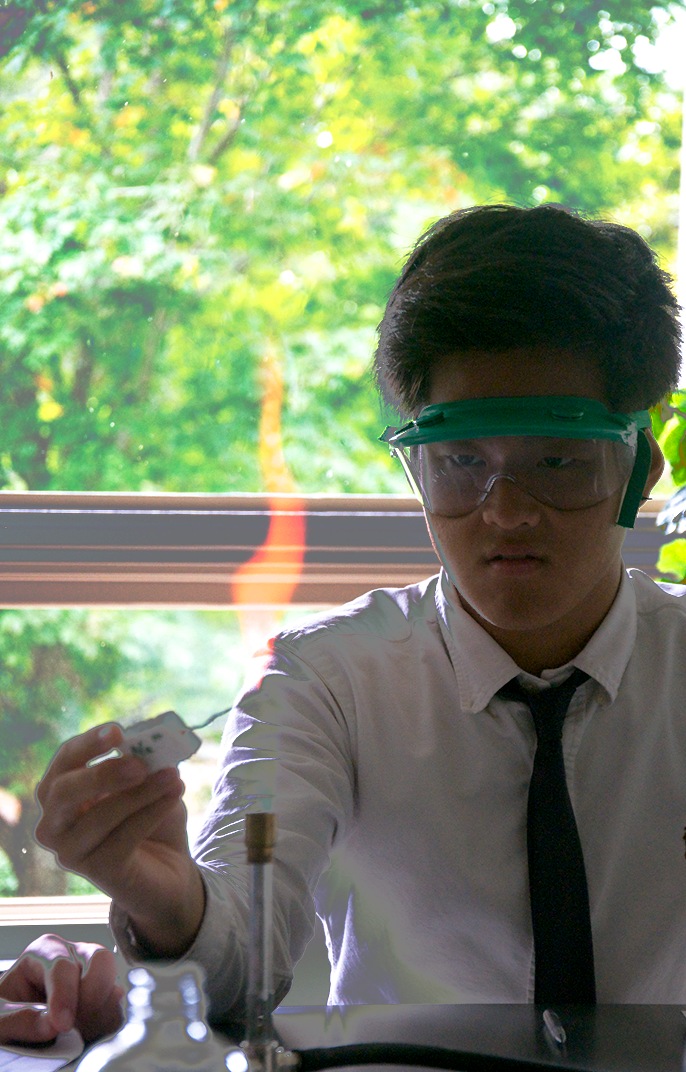 Color image with Curves adjustment